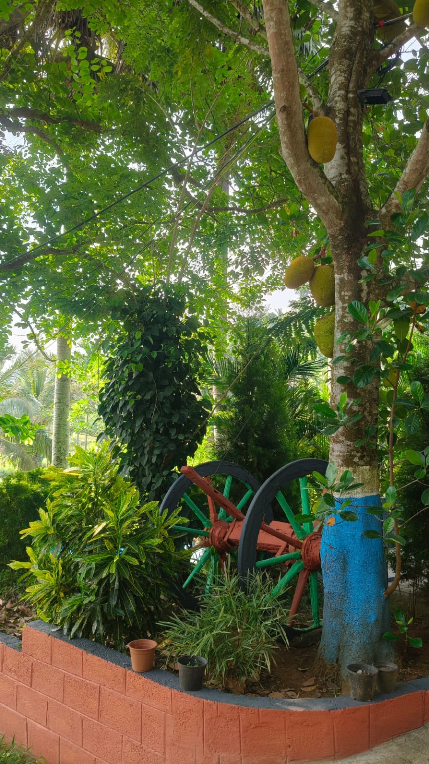 Green garden at Padavayal Greens